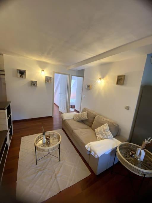 Charmant T3 A Bagneres-De-Luchon Ngoại thất bức ảnh